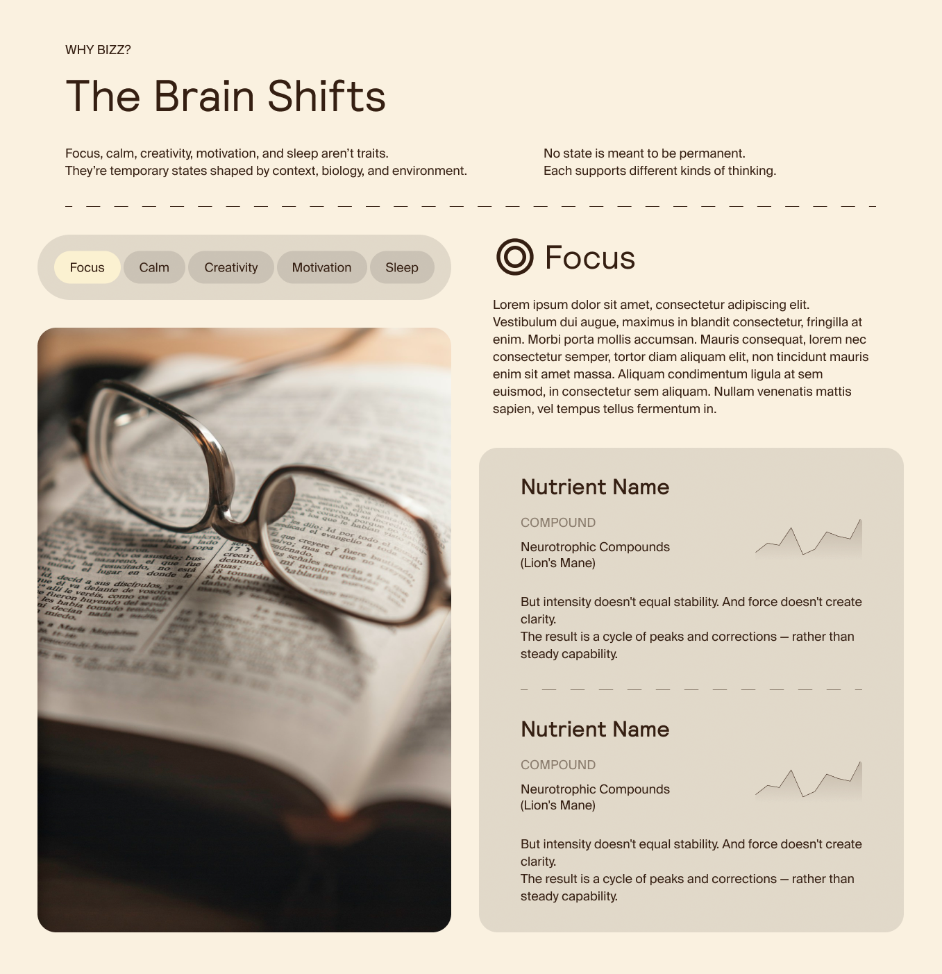 Current Design — The Brain Shifts