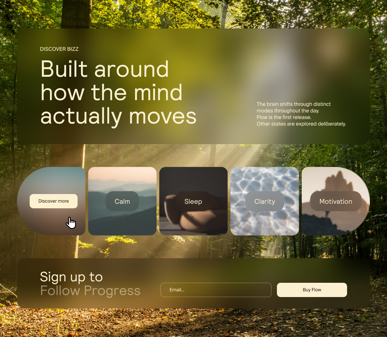 Current Design — Brain States Teaser