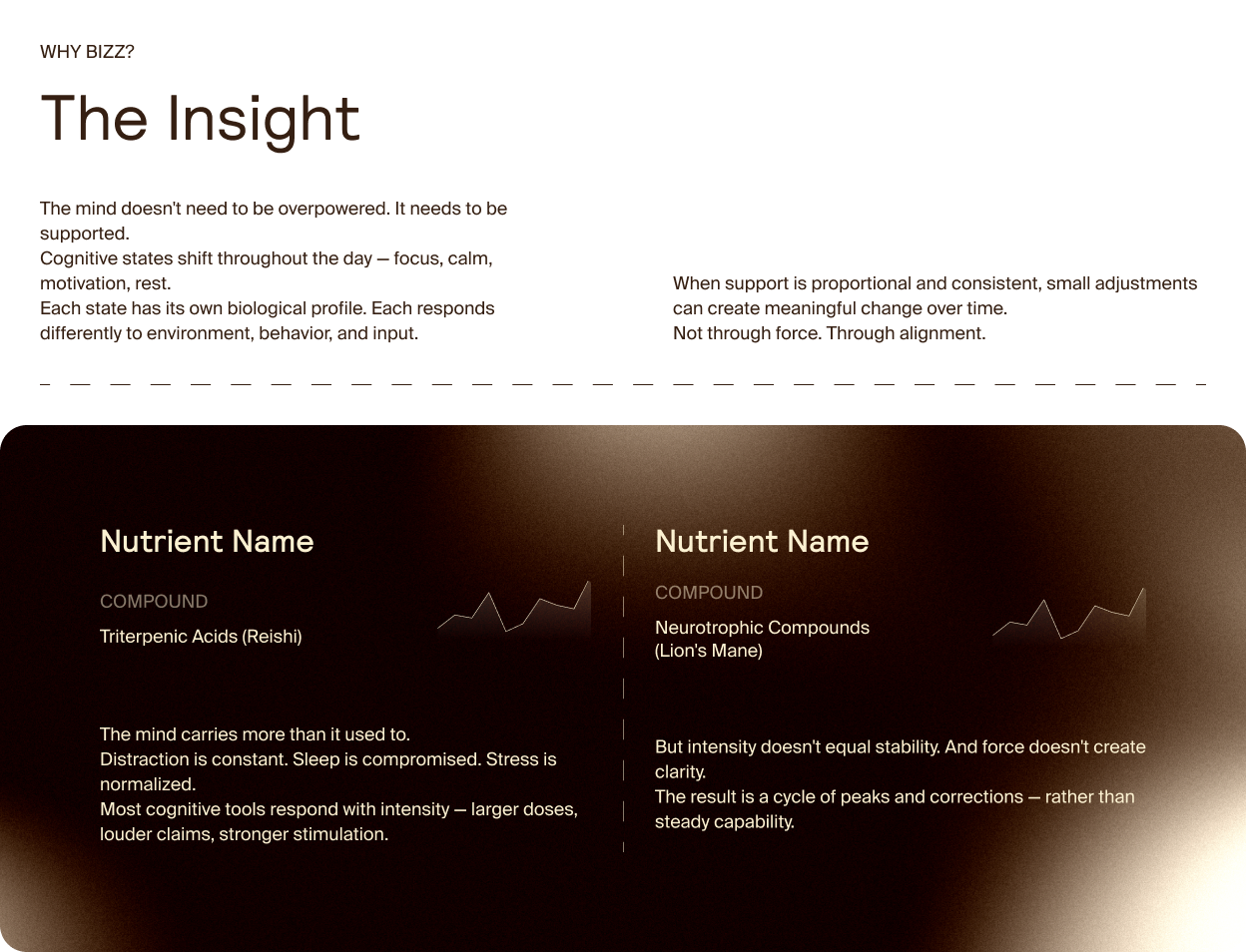 Current Design — The Insight